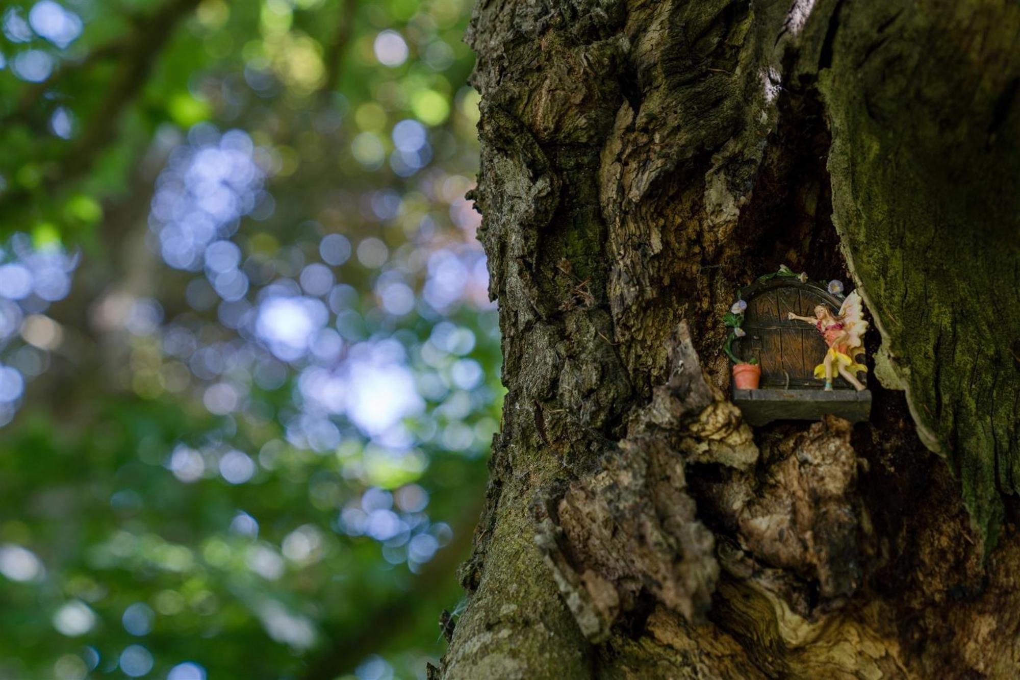 Enchanted Retreats At West Ford Devon South Molton Room photo